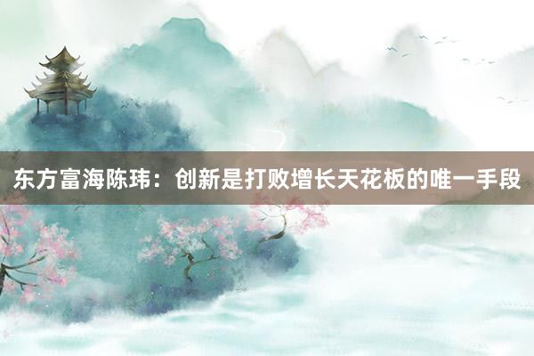 东方富海陈玮：创新是打败增长天花板的唯一手段