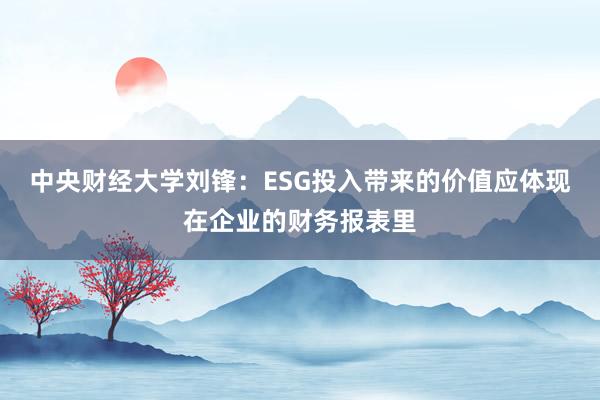 中央财经大学刘锋：ESG投入带来的价值应体现在企业的财务报表里