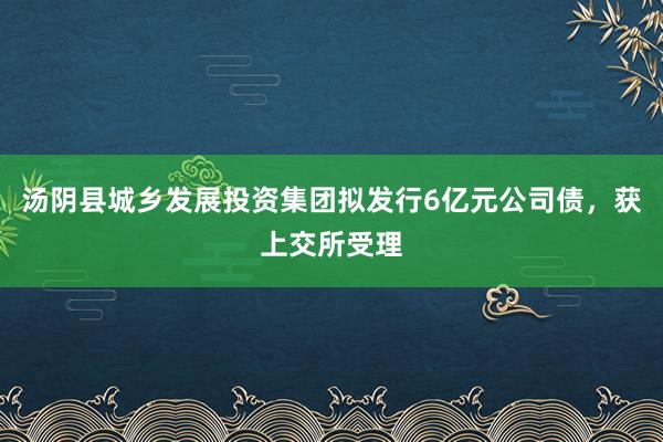 汤阴县城乡发展投资集团拟发行6亿元公司债，获上交所受理