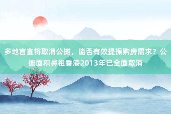 多地官宣将取消公摊，能否有效提振购房需求？公摊面积鼻祖香港2013年已全面取消