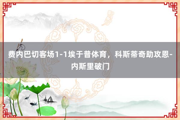 费内巴切客场1-1埃于普体育，科斯蒂奇助攻恩-内斯里破门