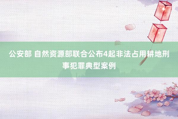 公安部 自然资源部联合公布4起非法占用耕地刑事犯罪典型案例